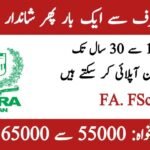 NADRA Jobs 2025 – Apply Online for Junior Executive and Data Entry Operator